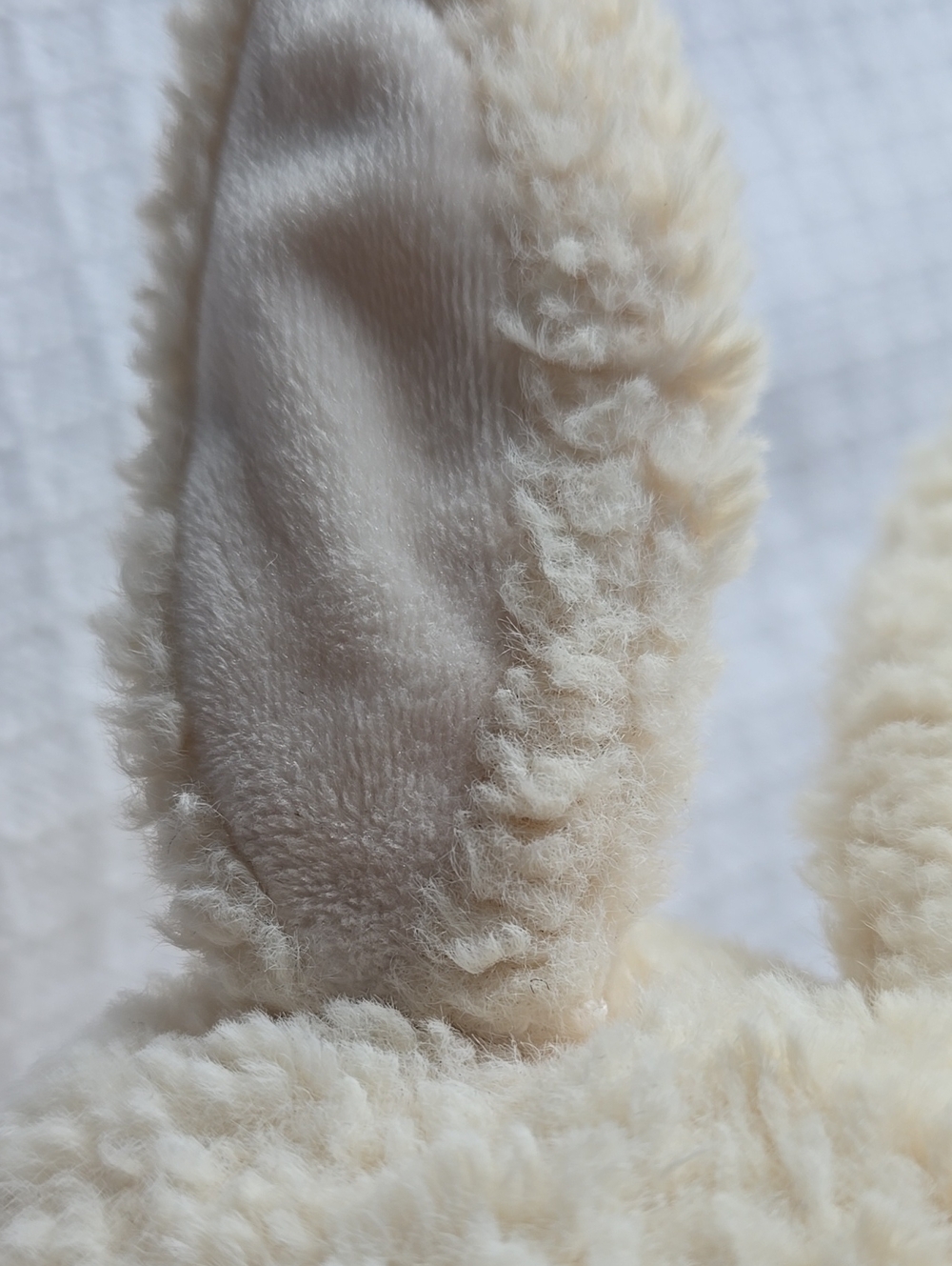 🐇Jellycat Amore Bunny Cream AM2B 10” Plush Rabbit - Picture 8 of 14